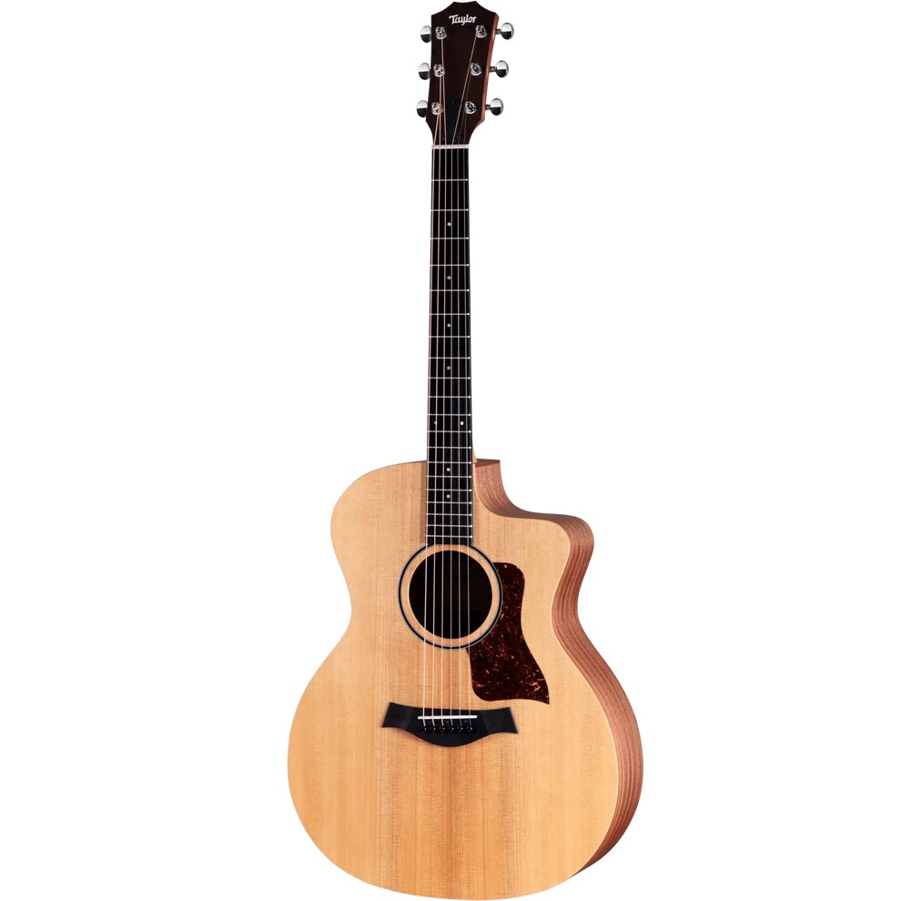 dan-guitar-acoustic-taylor-14ce